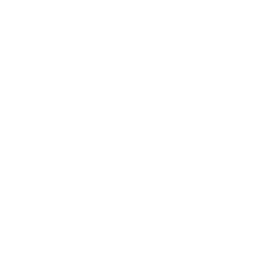 方向光 Gizmos 图标