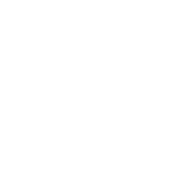 点光源 Gizmos 图标