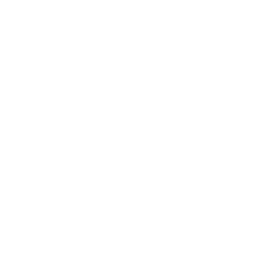 聚光灯 Gizmos 图标